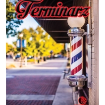 Terminarze